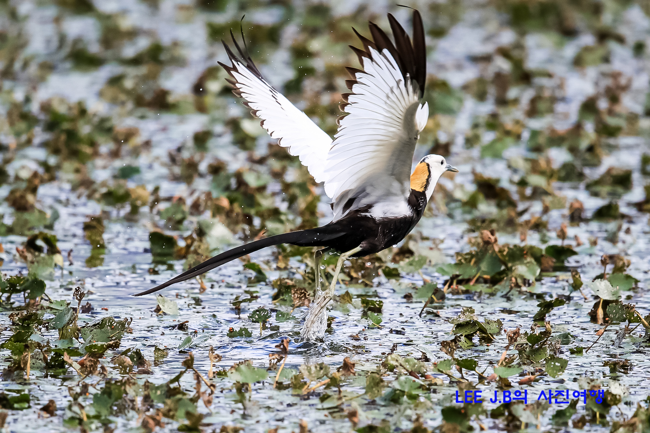 20220626-동판지 (57).JPG