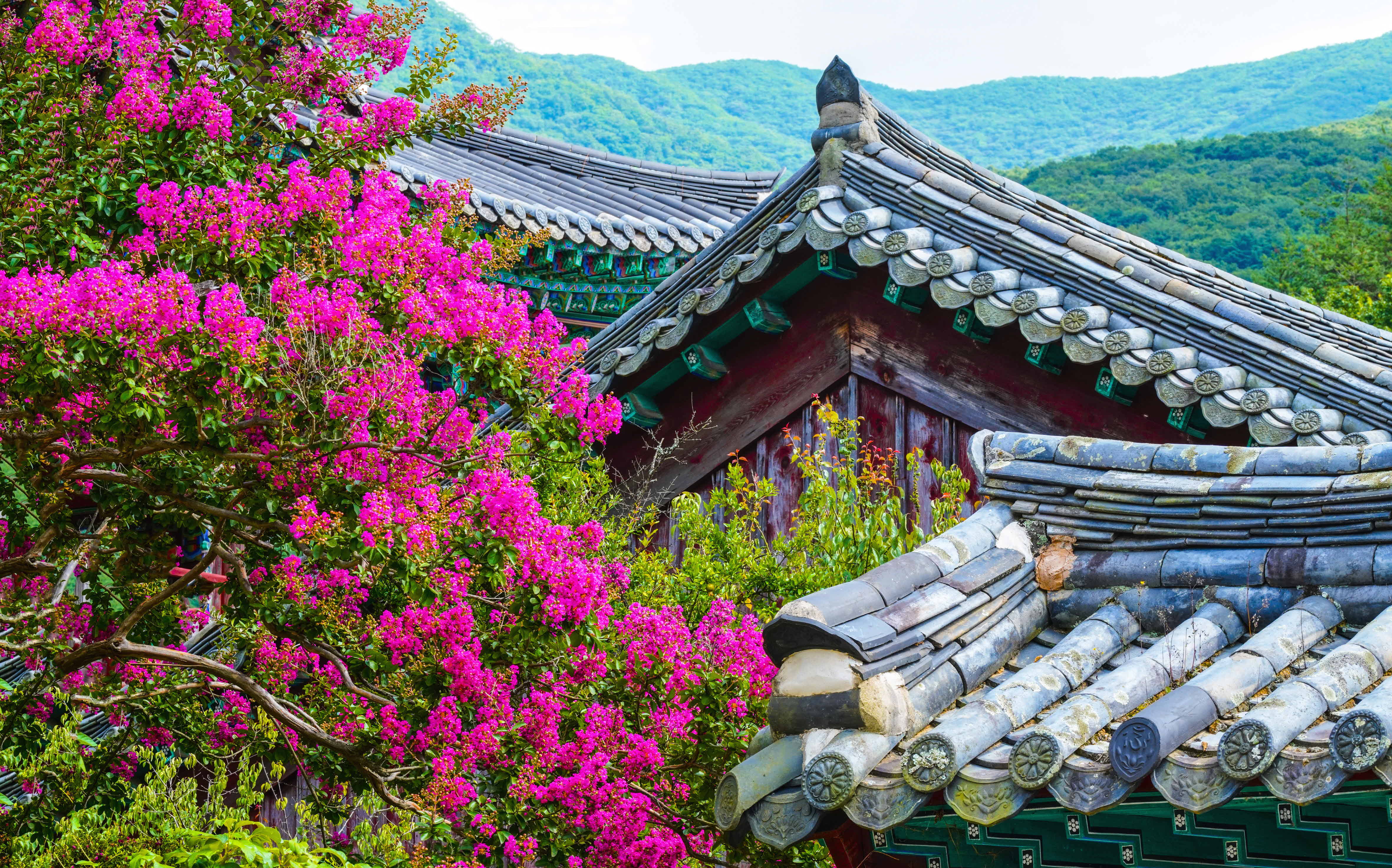 크기변환__DSC5633 사본.jpg