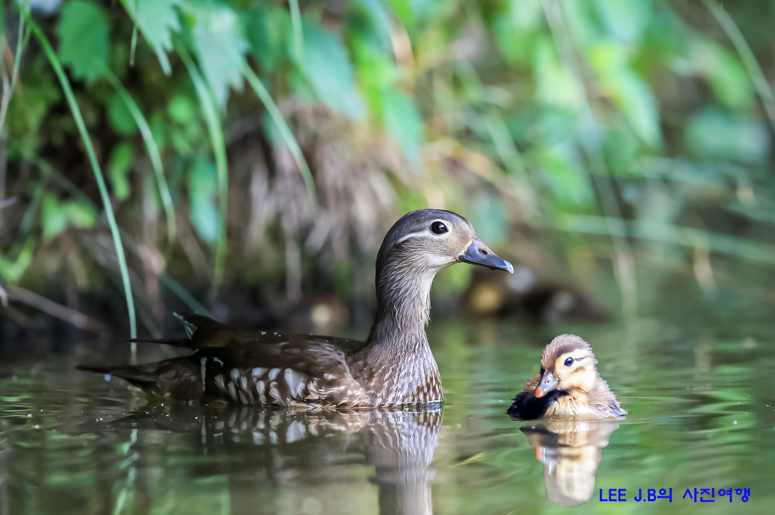 20220620-범서 (89-1).jpg
