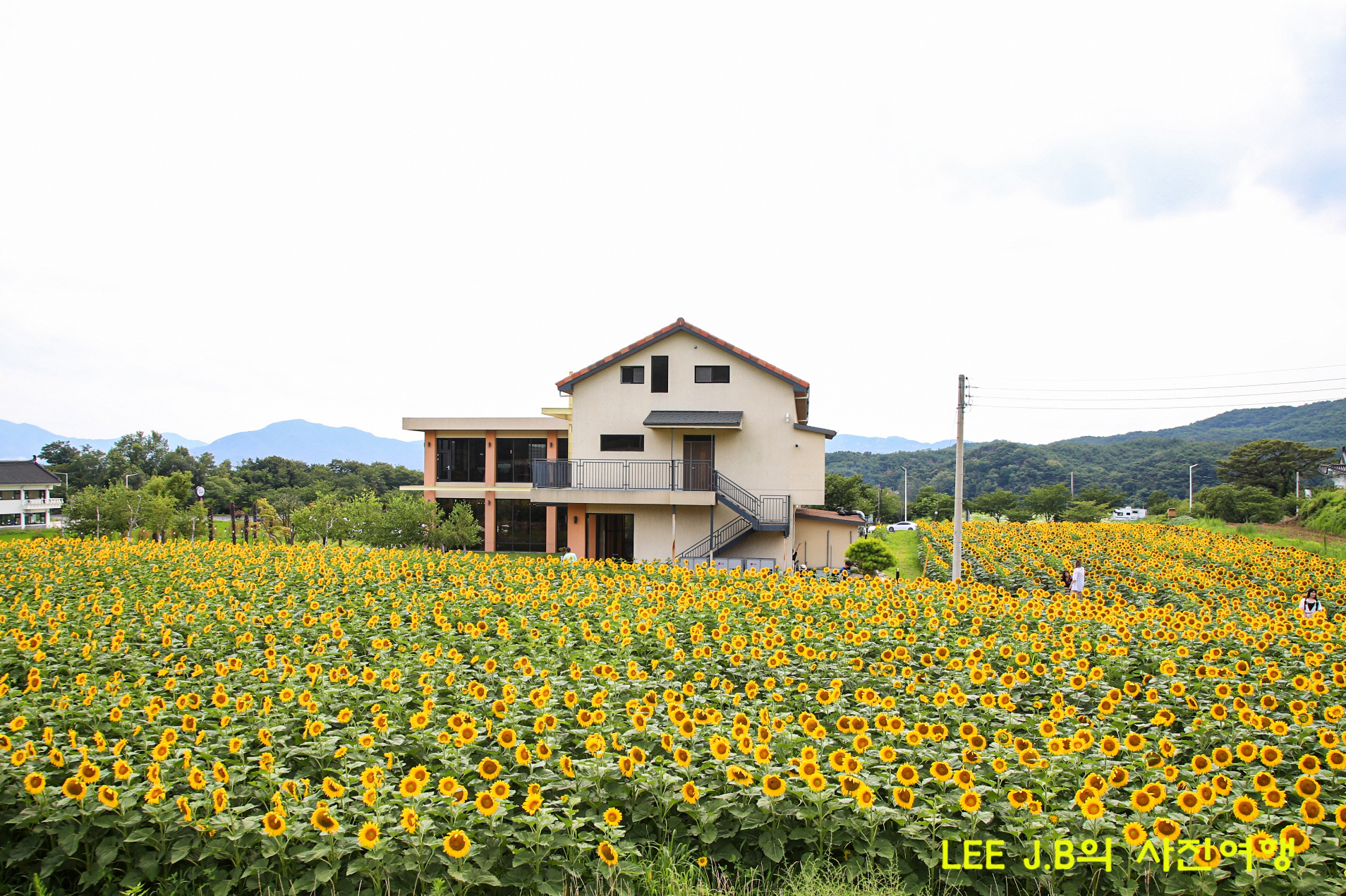 20220717-로드백 (25).JPG