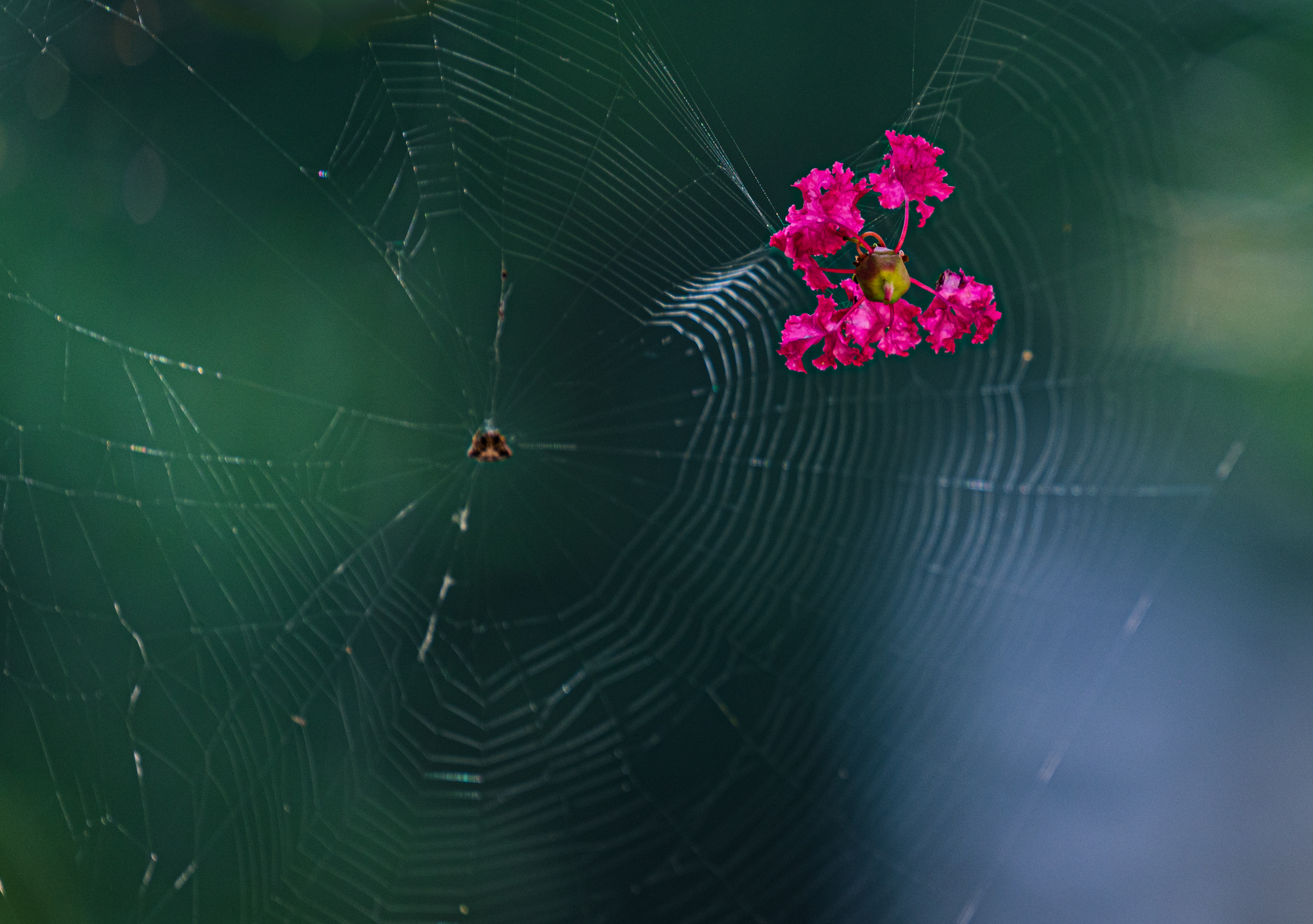 제목 없는 촬영 프로젝트-026.jpg