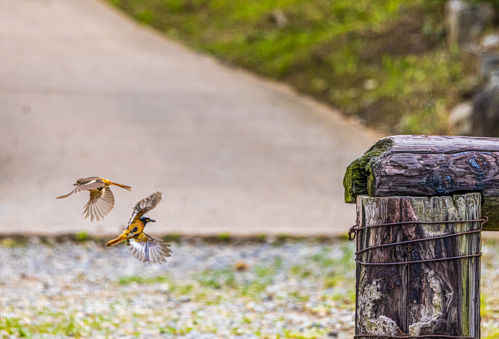 제목 없는 촬영 프로젝트-774-편집.jpg