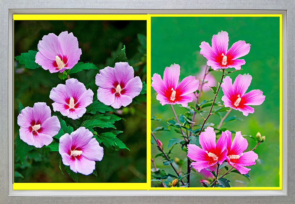 20170515_153610  copy  복사 복사 (2).jpg