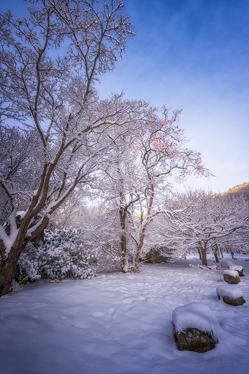 _JSA0789-HDR 복사.jpg