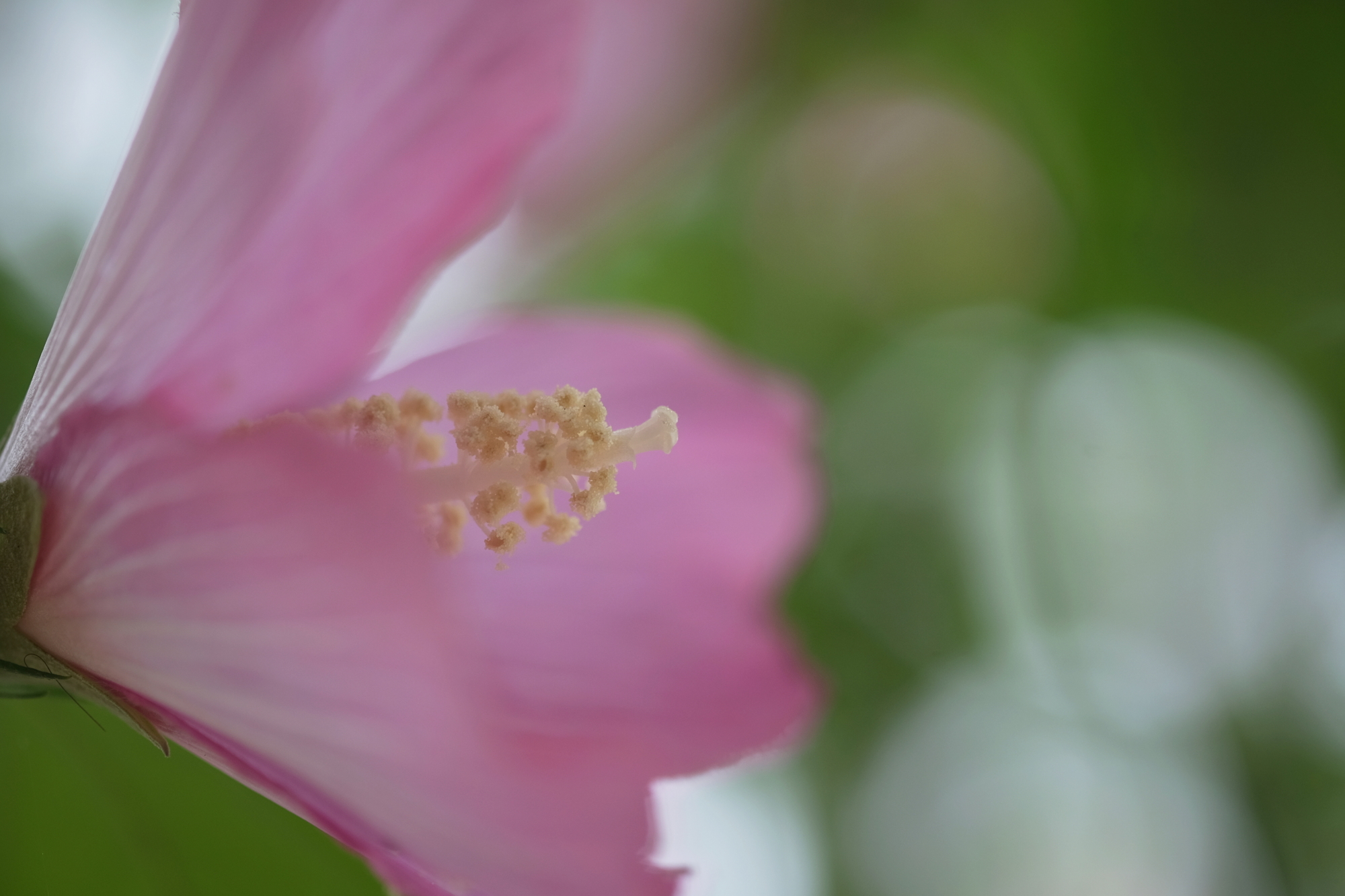 DSCF2881 (1)0001.JPG