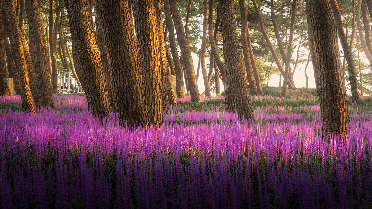 _JSA6150-HDR 복사.jpg