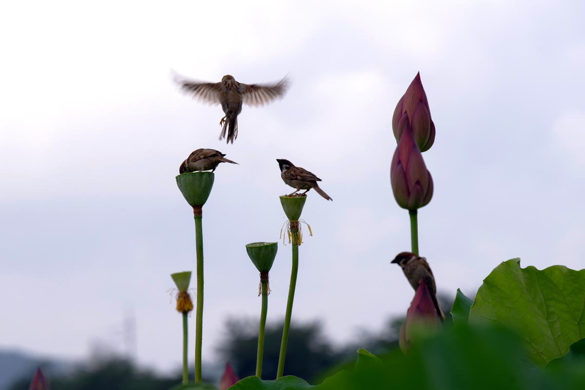 [크기변환]DSC_6164ppp새 굿2.jpg