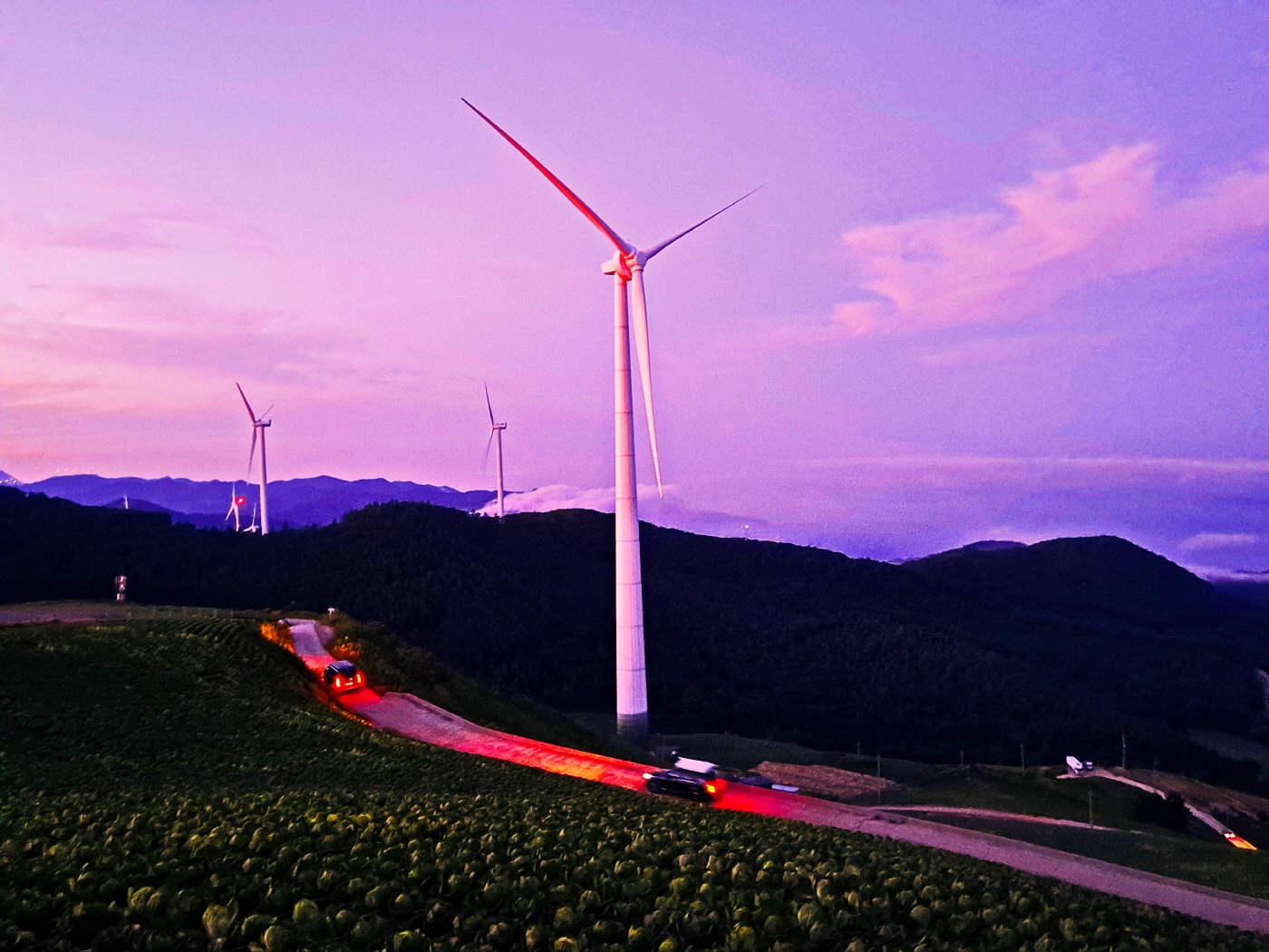 바람의 언덕길1.jpg