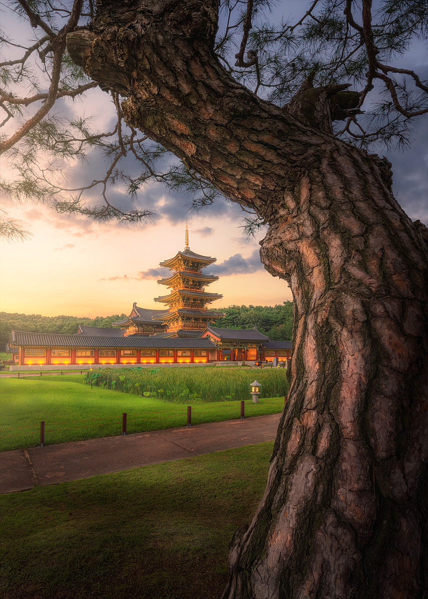 문화단지 복사.jpg