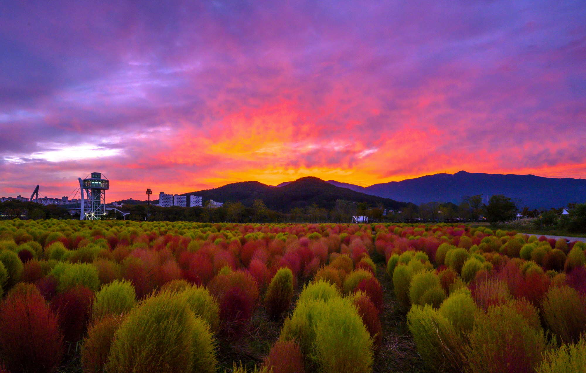 [크기변환]2200slzhs z7_22.JPG