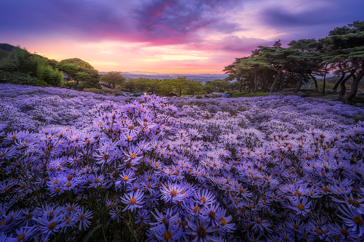 봉천사 복사1.jpg