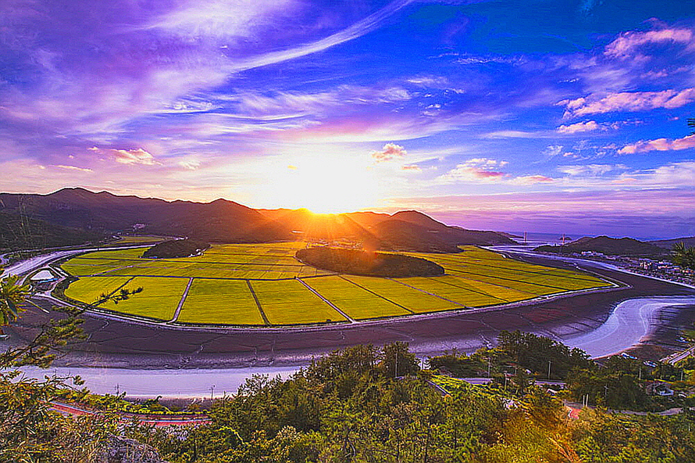 법성포 가을들녁2.jpg