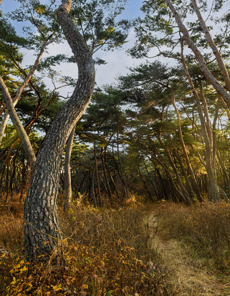 DSC_2938 복사045.jpg