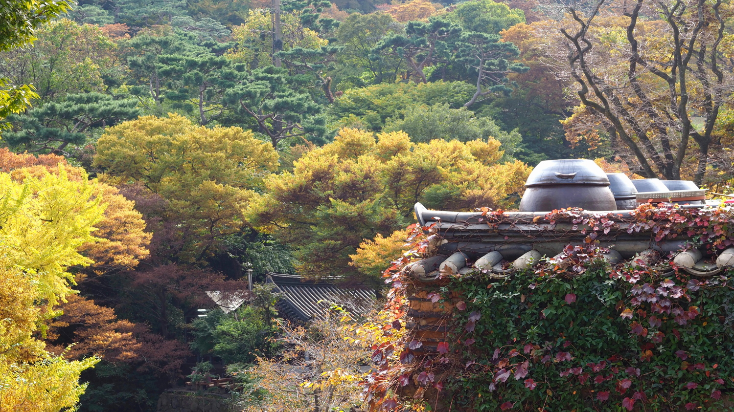 PA140149 (2) (3).jpg