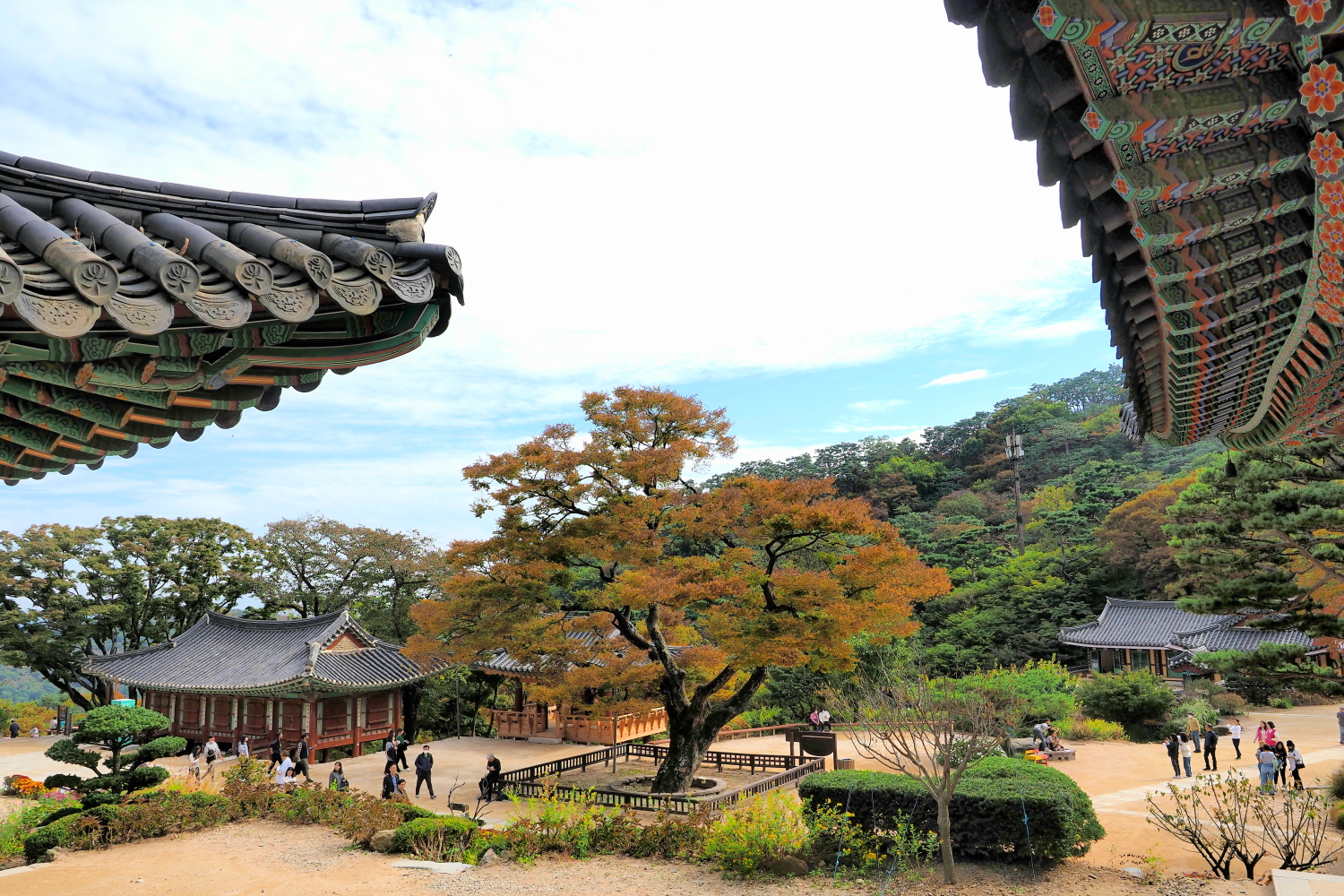 PA140115 (2) (2).jpg