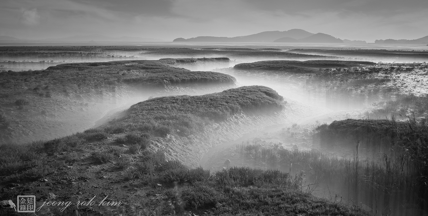 28 갯잔디(흑백구름).jpg