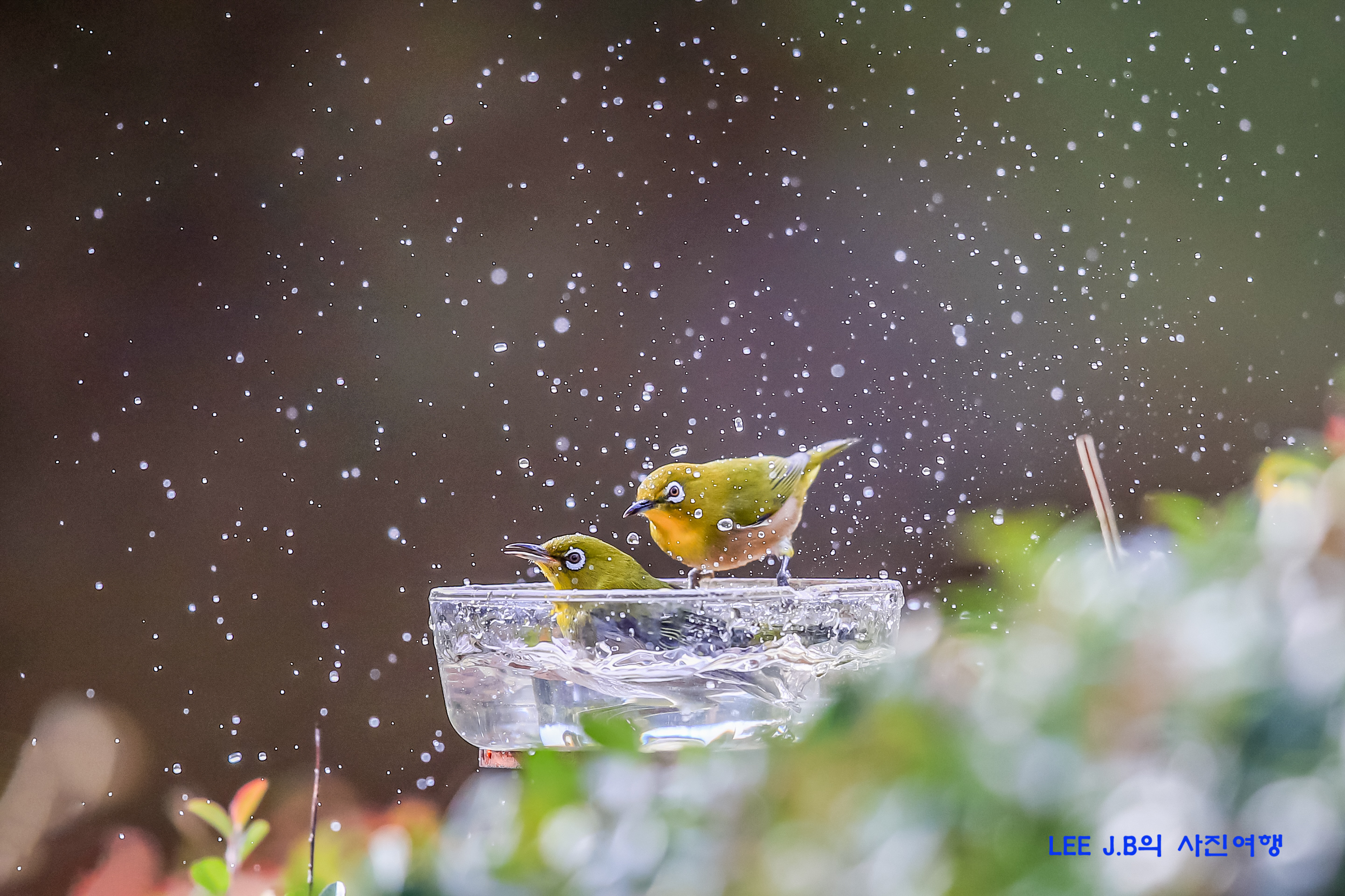 20221205-문수구장 (36).JPG