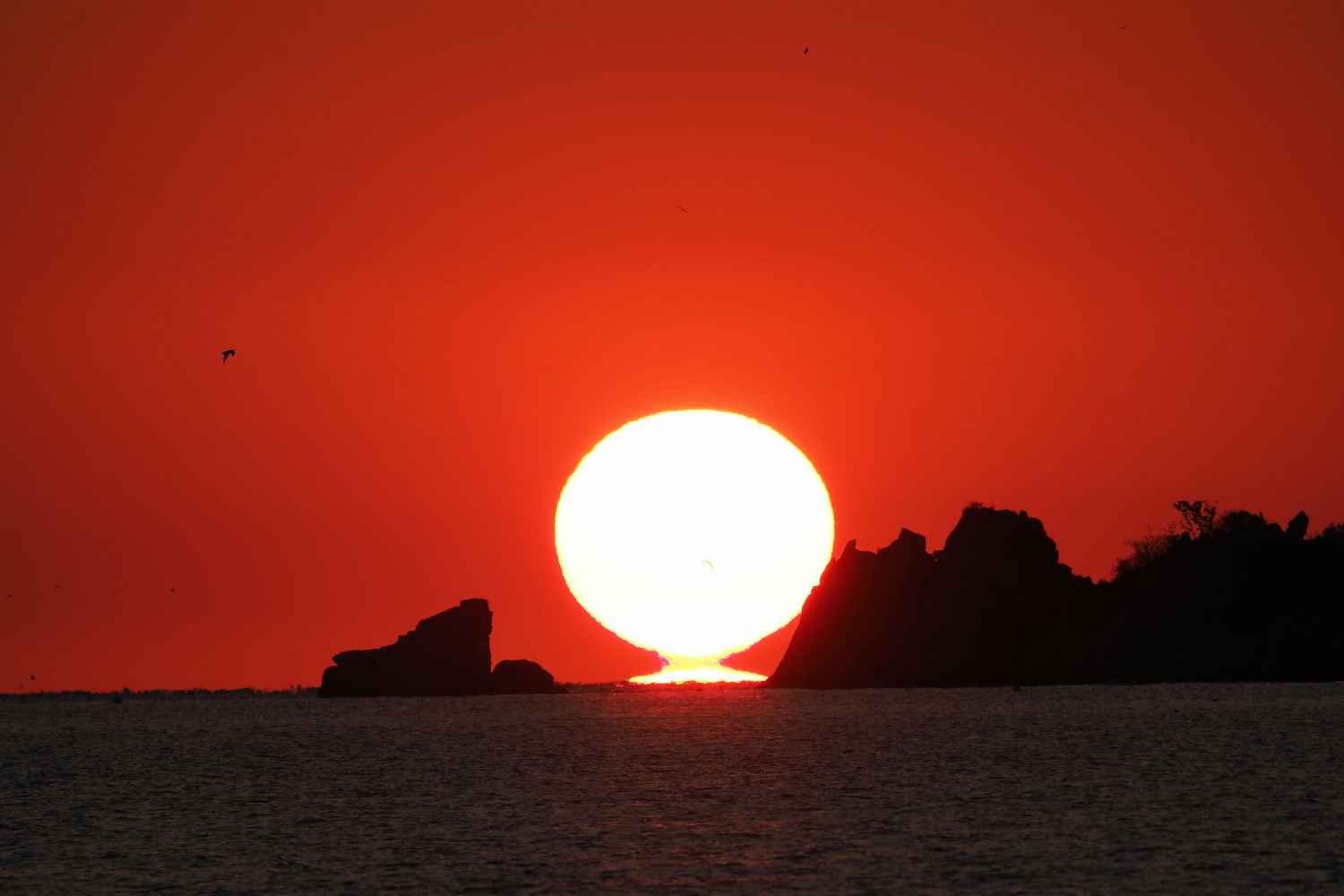 PA250056 (2) (2).jpg