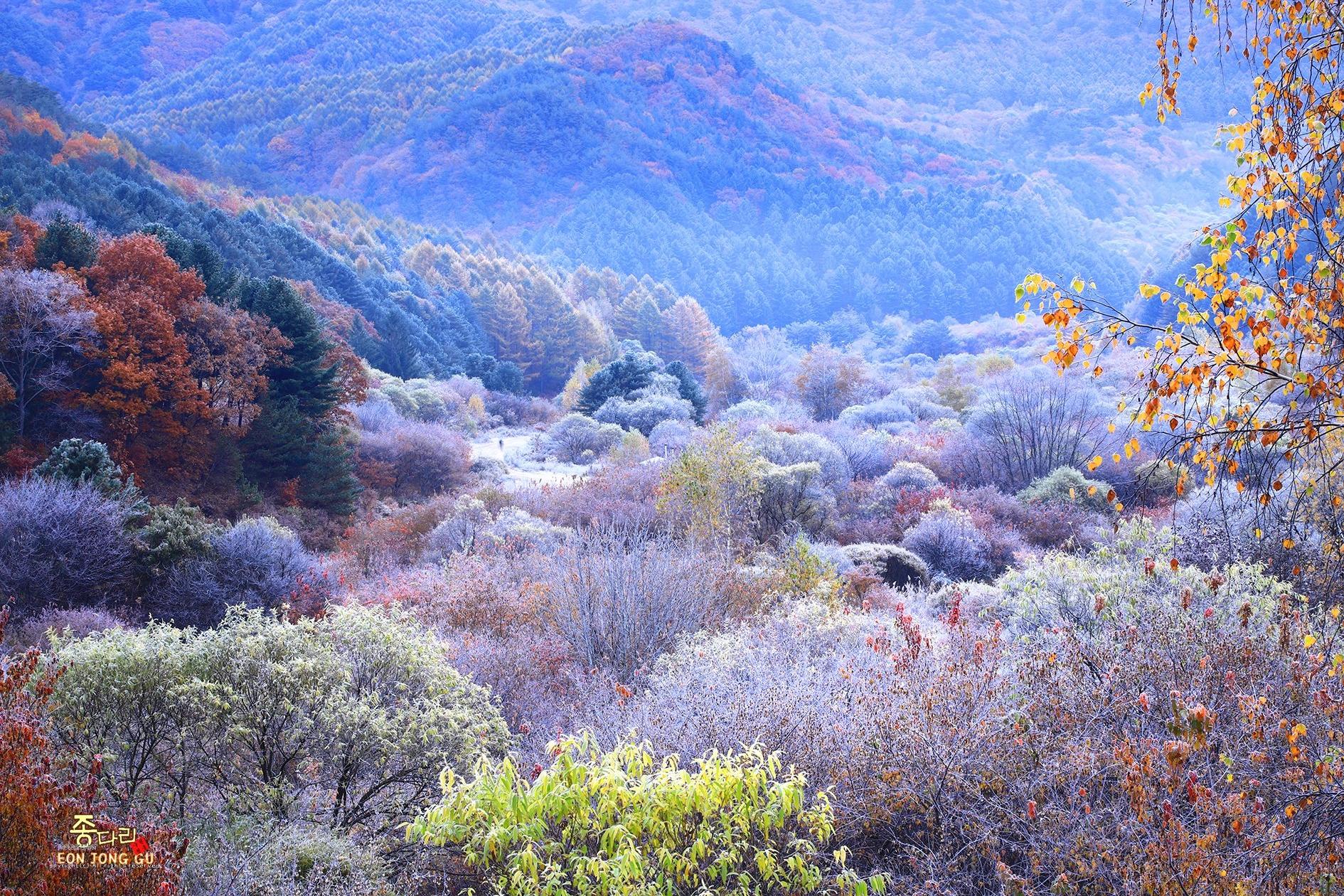 카카오스토리_2022_10_25 20_42_18.jpg