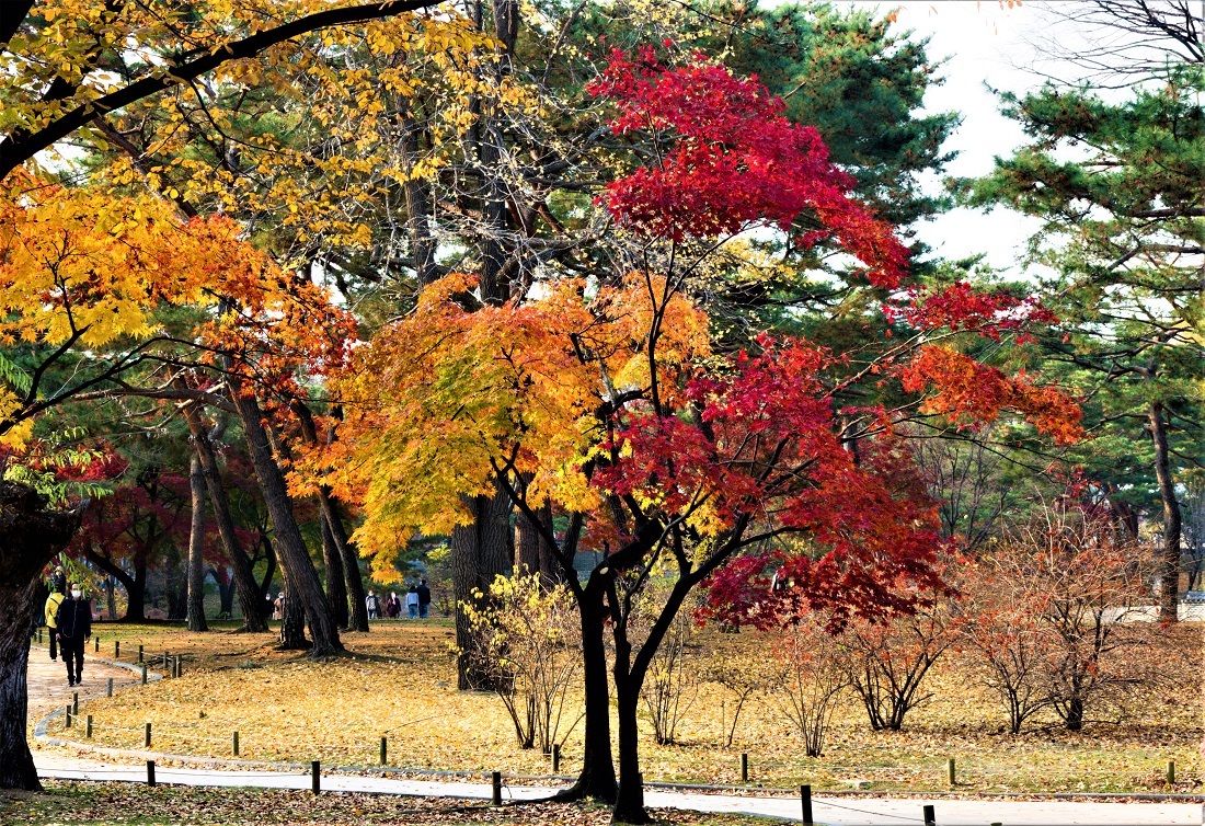 DSC04624_edited (2).jpg