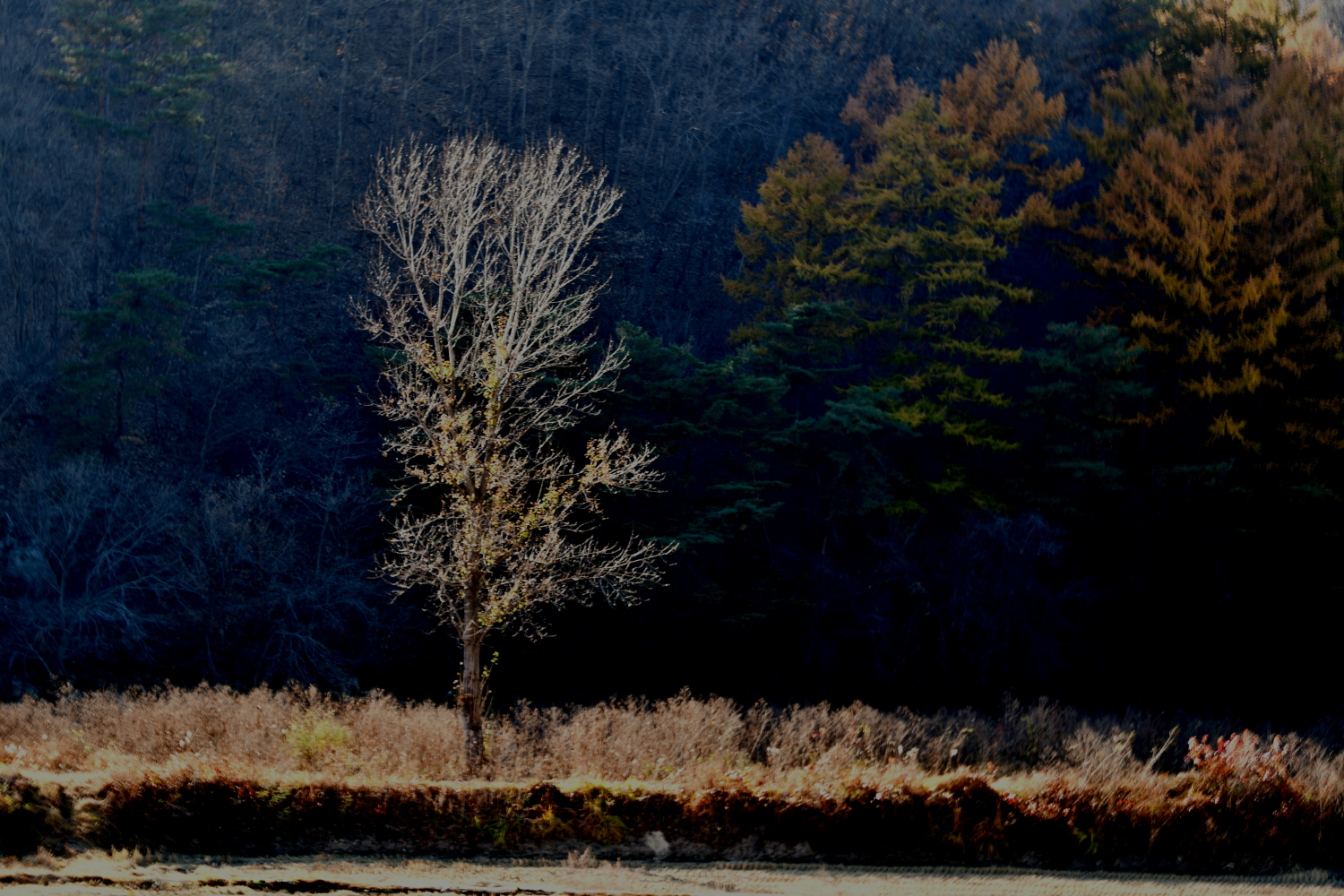 다 내어주고.JPG