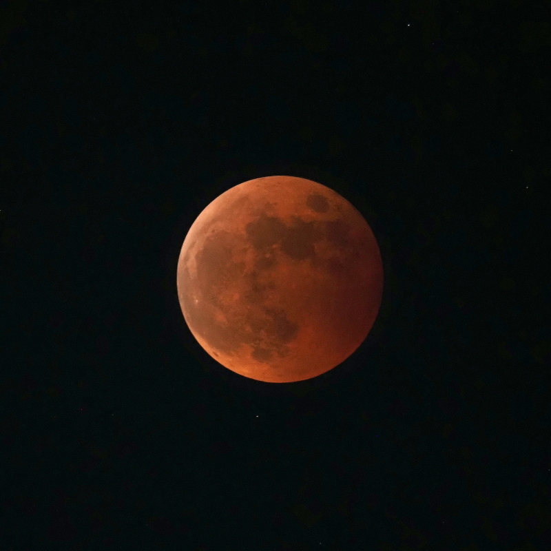 PB080031 (2) (2) (2).jpg