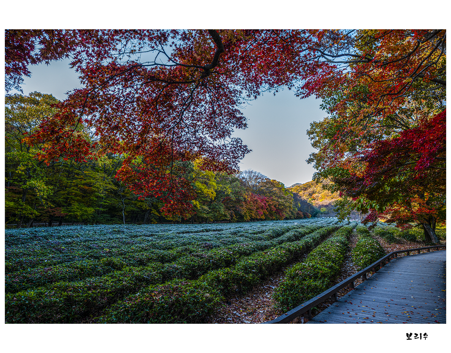 _DSF1930 복사1.jpg