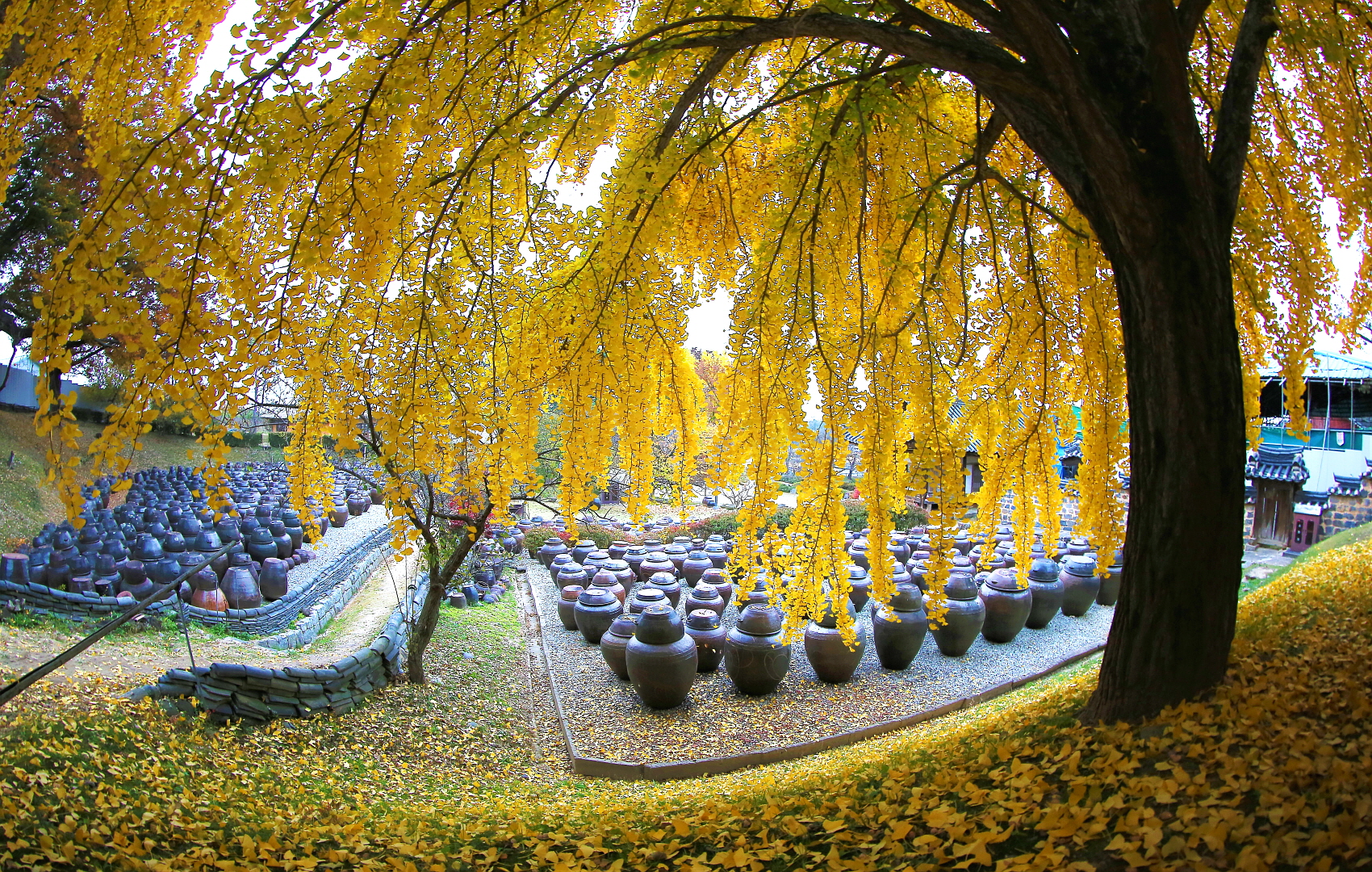 명재고택144A9714 (2).JPG