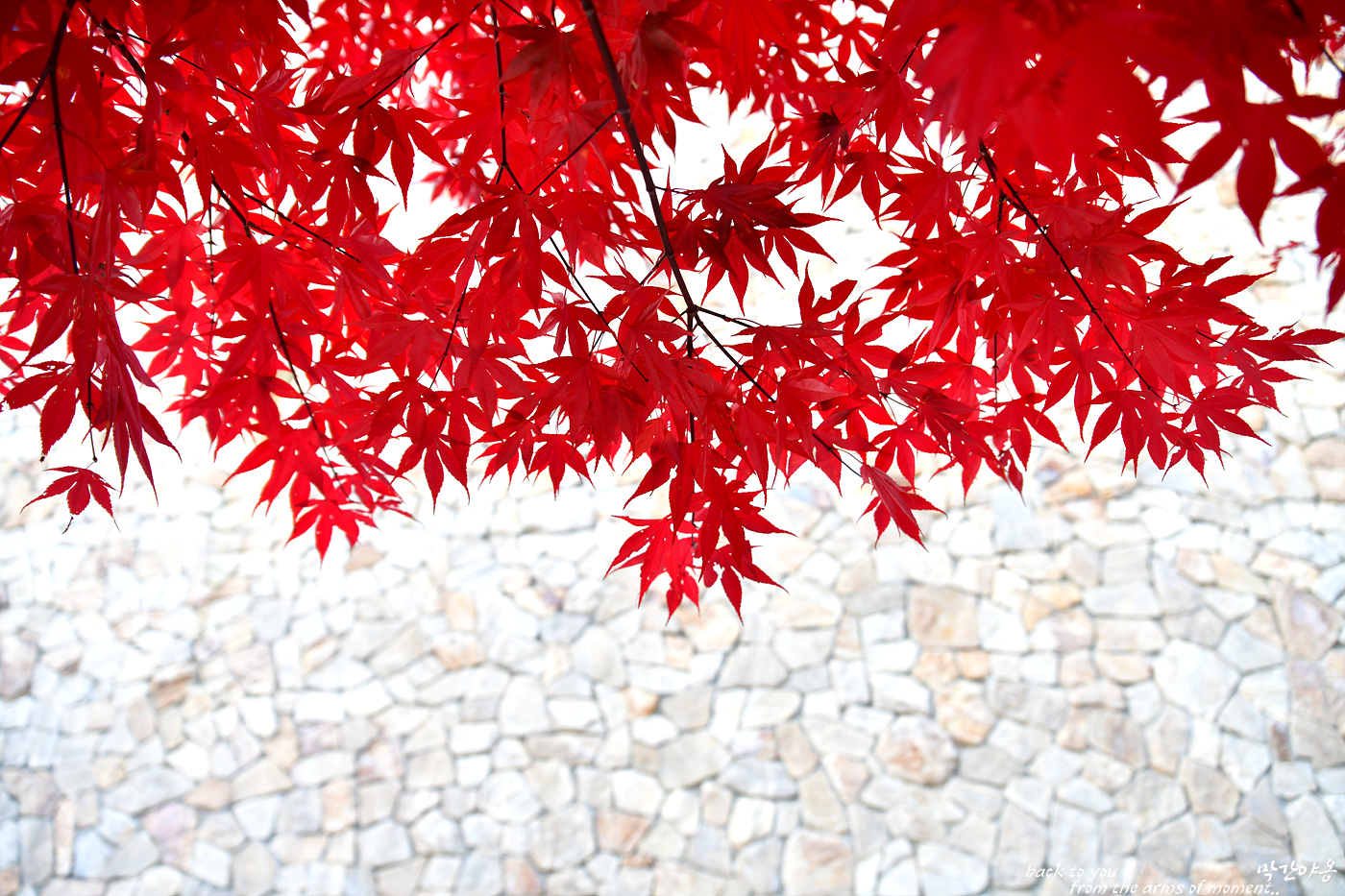 20221111 뮤지엄산_0504_view-pw.jpg