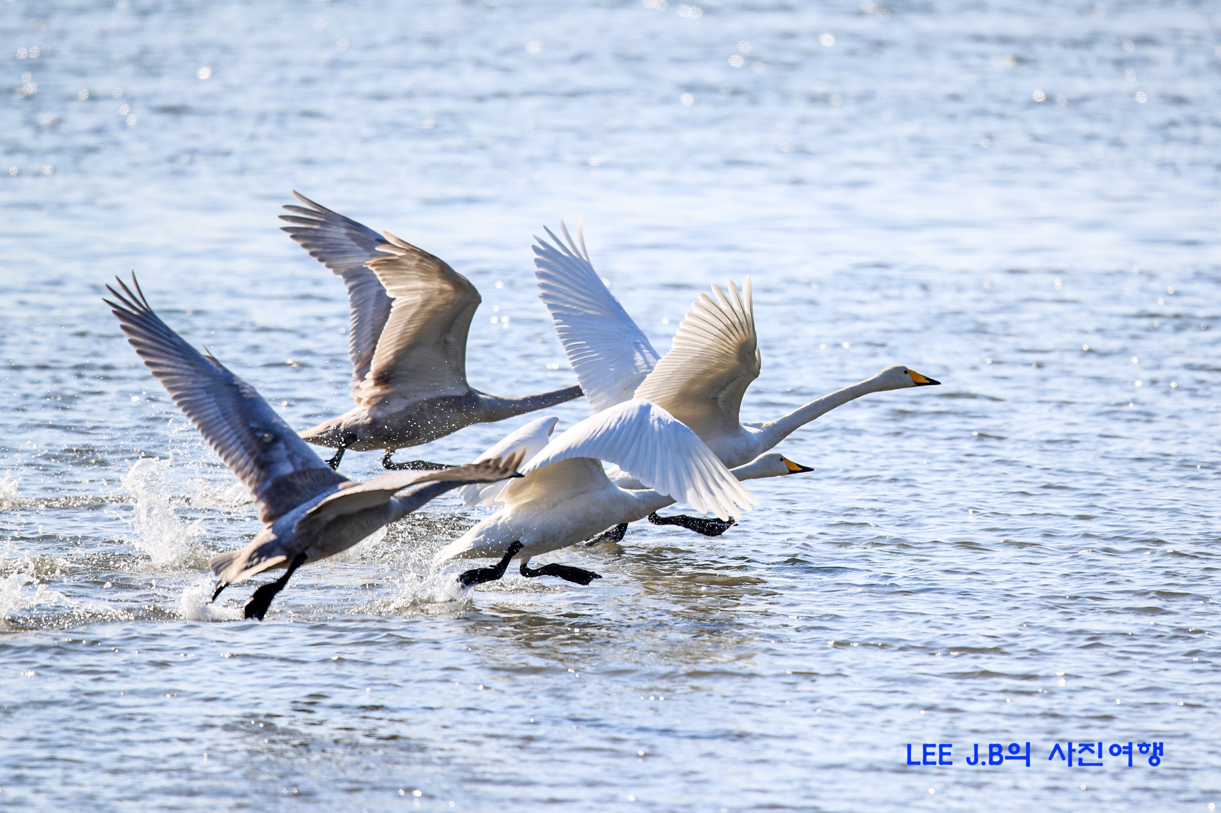 20221206-명지 (13).JPG