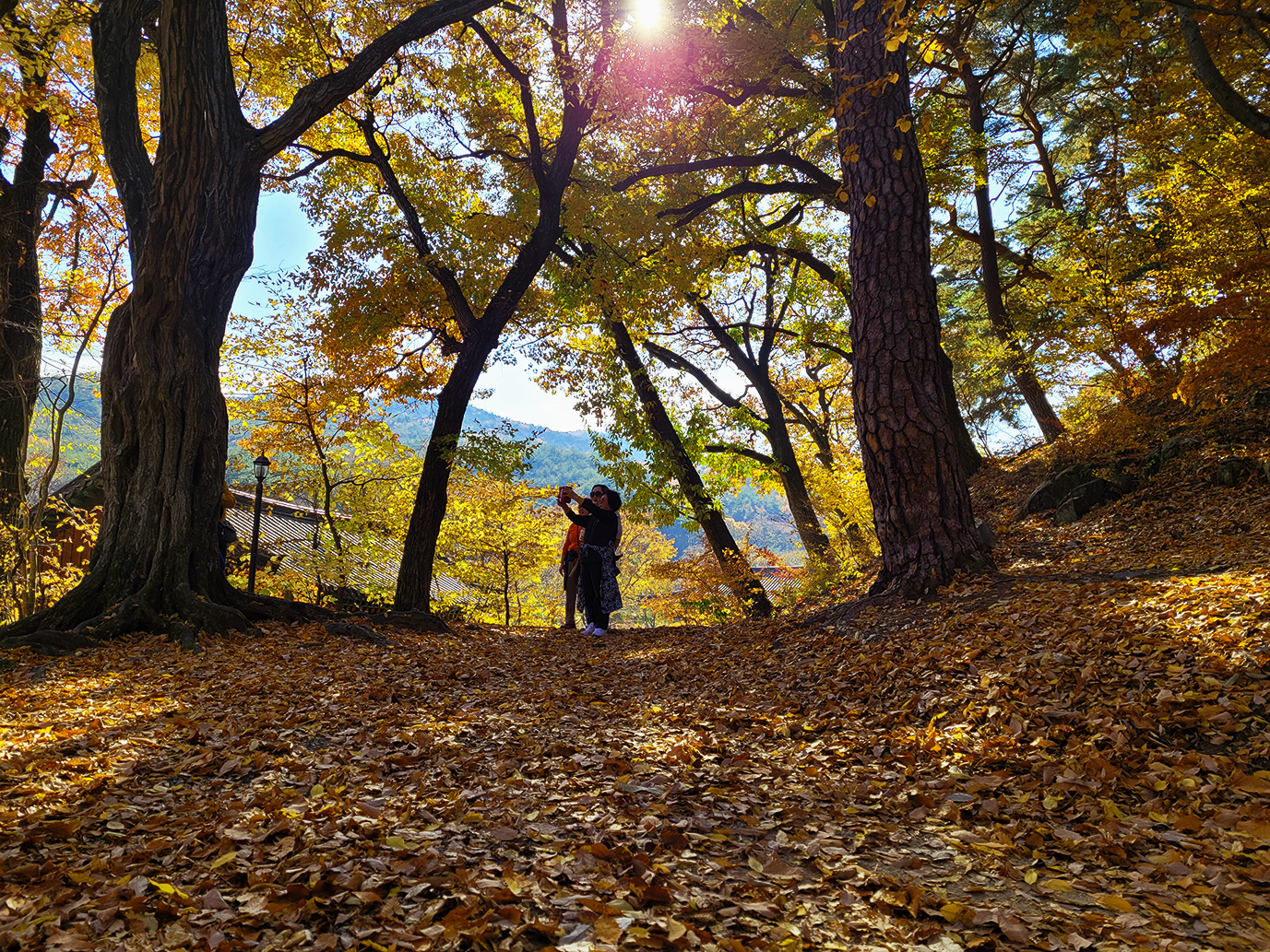 KakaoTalk_20221112_152849354_10 (1) 복사.jpg