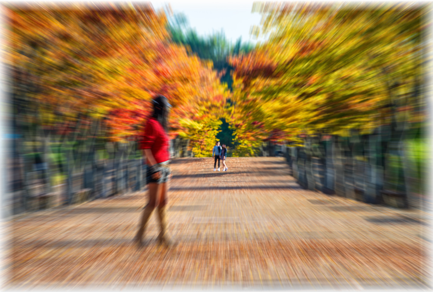 제목 없음-2마로니 3.jpg