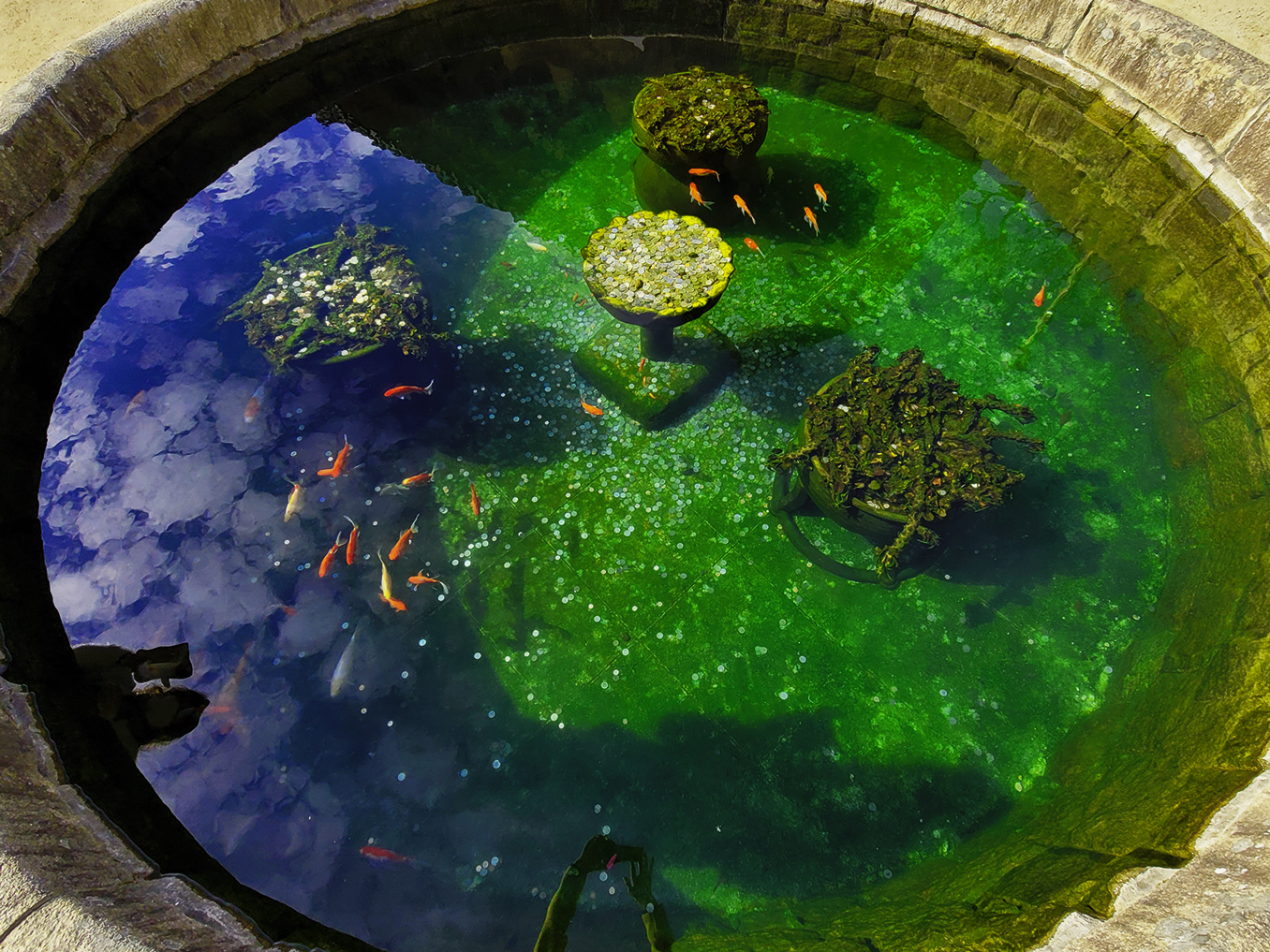 KakaoTalk_20221119_134006452 복사.jpg