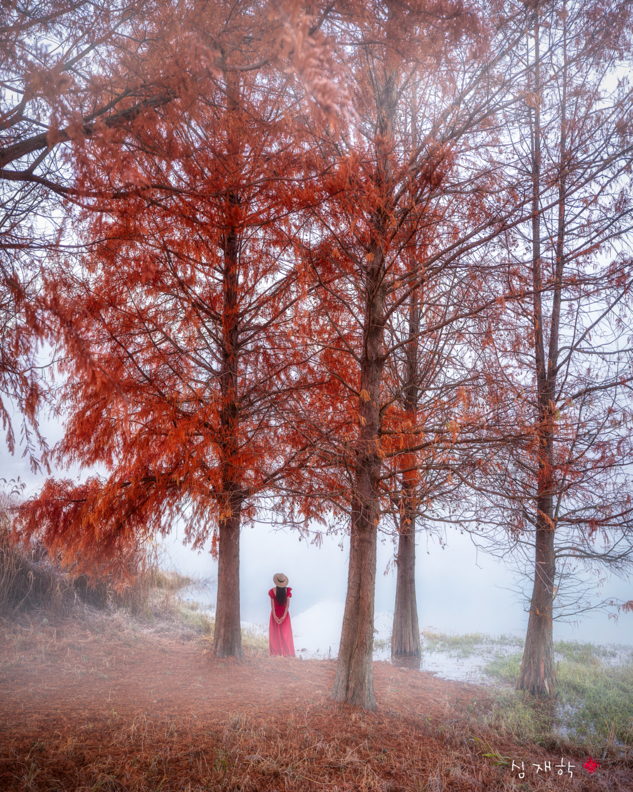 물안개 아침.jpg