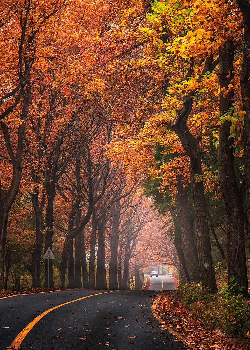 _JSA4601-HDR 복사1.jpg