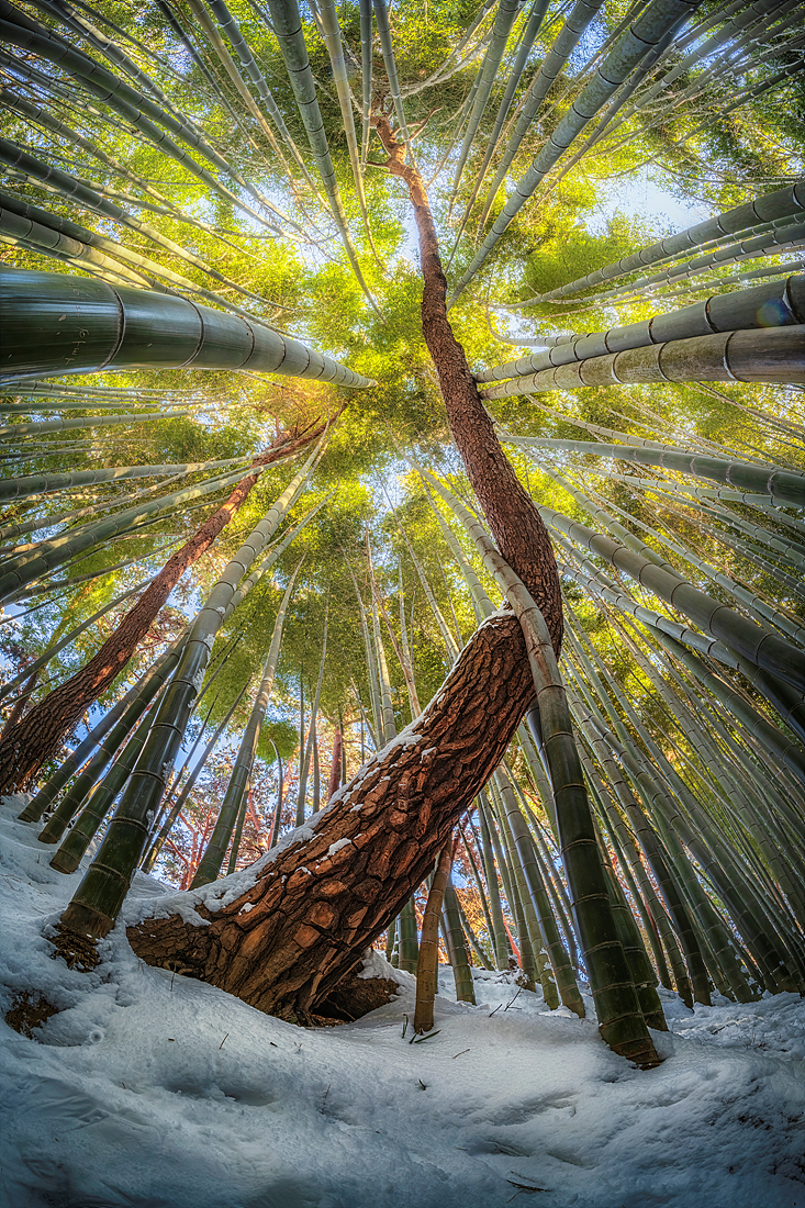 _JSA1360-HDR 복사.jpg