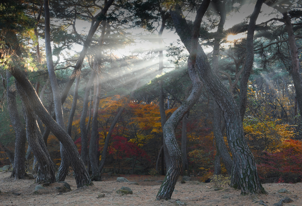 DSC_2583 복사033 44.jpg