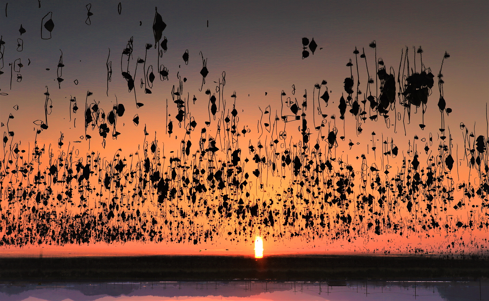 혼신지144A2343 (2).JPG