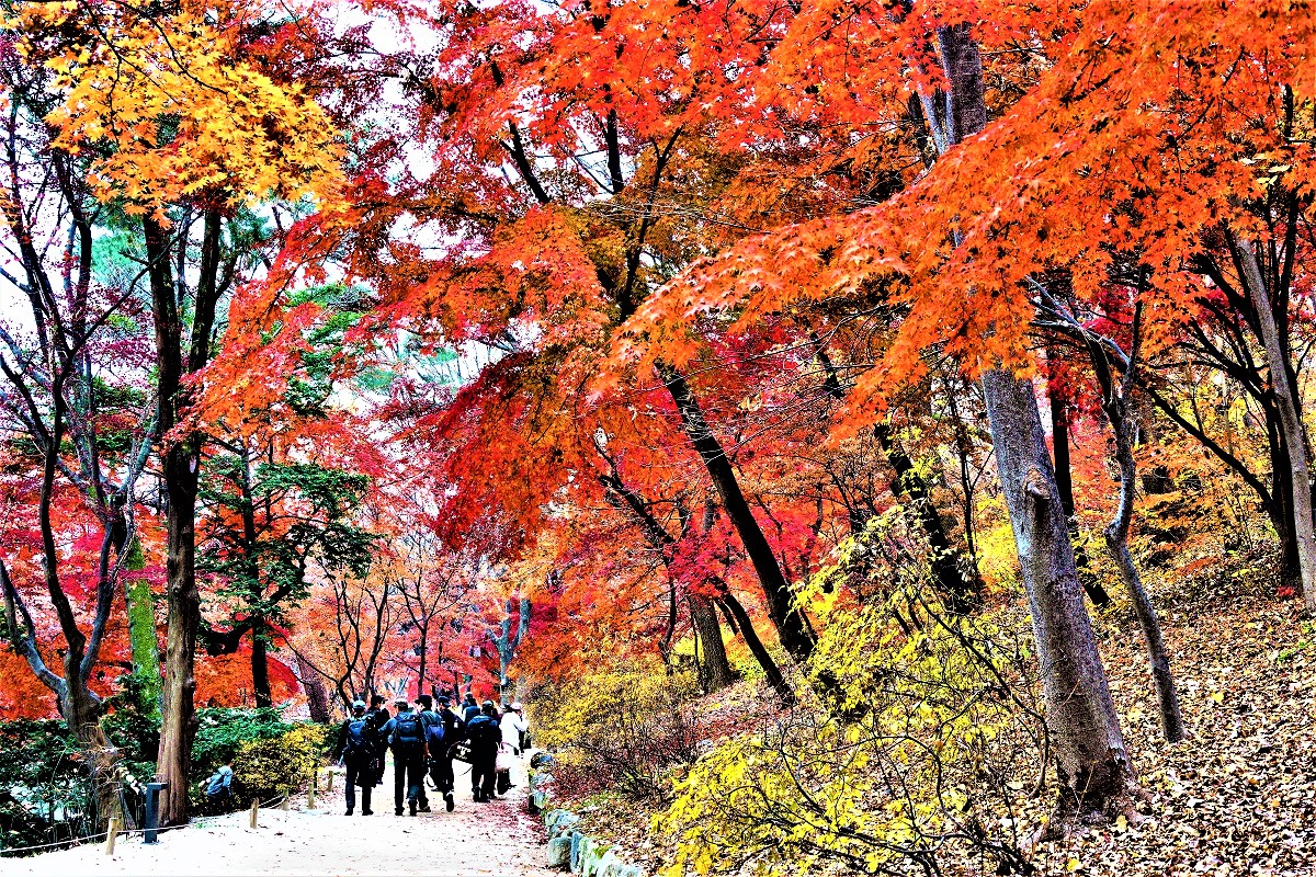 DSC03046_edited (4).jpg