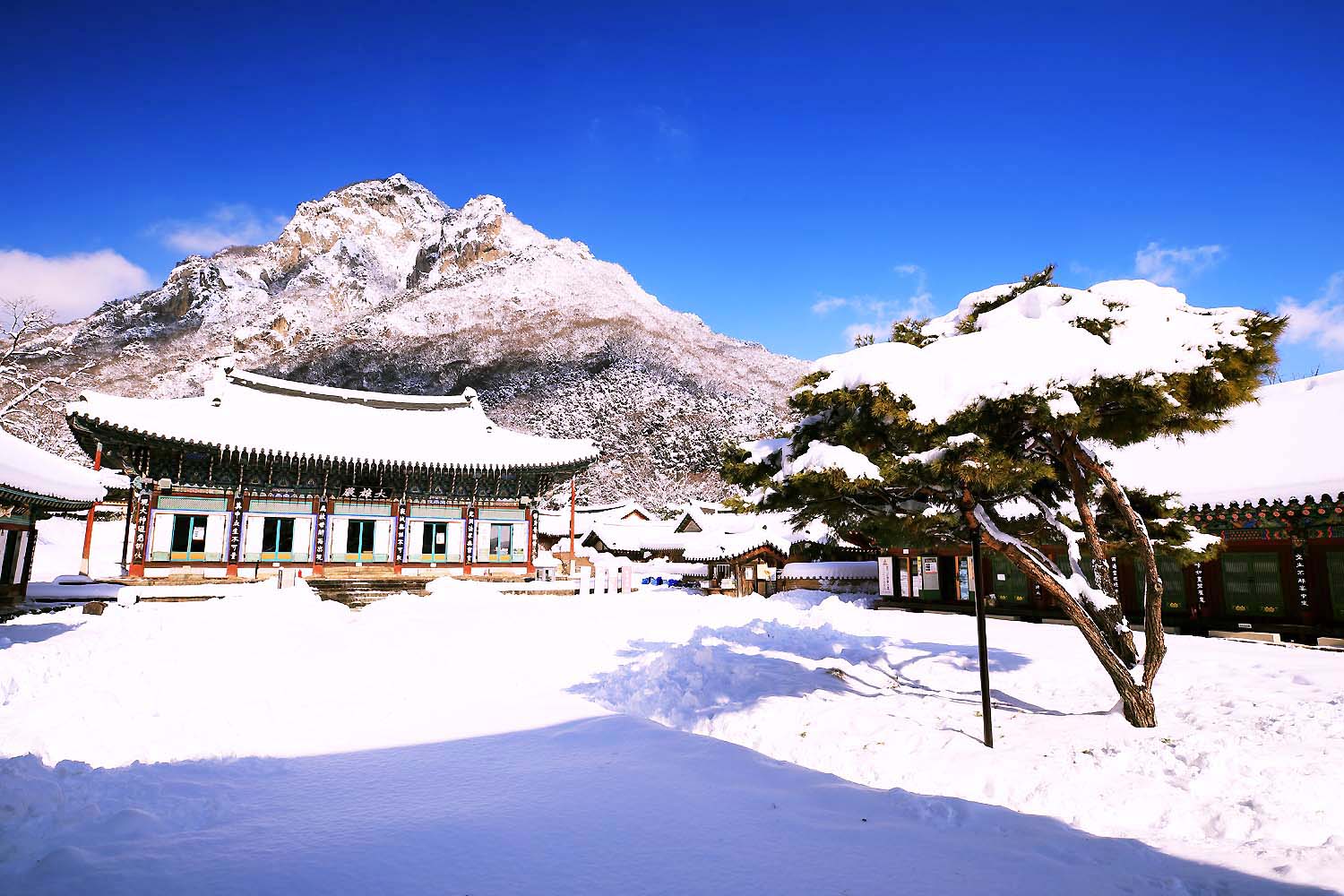 백양사 설경33.JPG