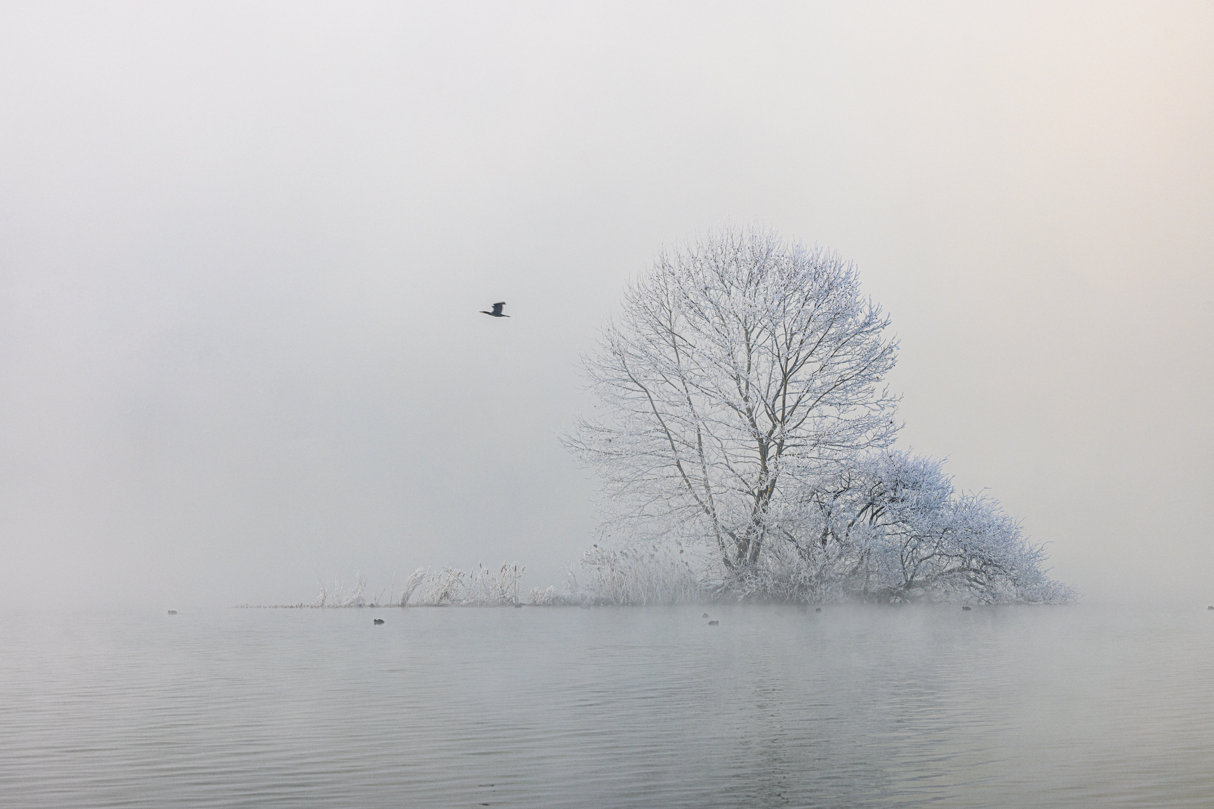 제목 없음-9584.jpg