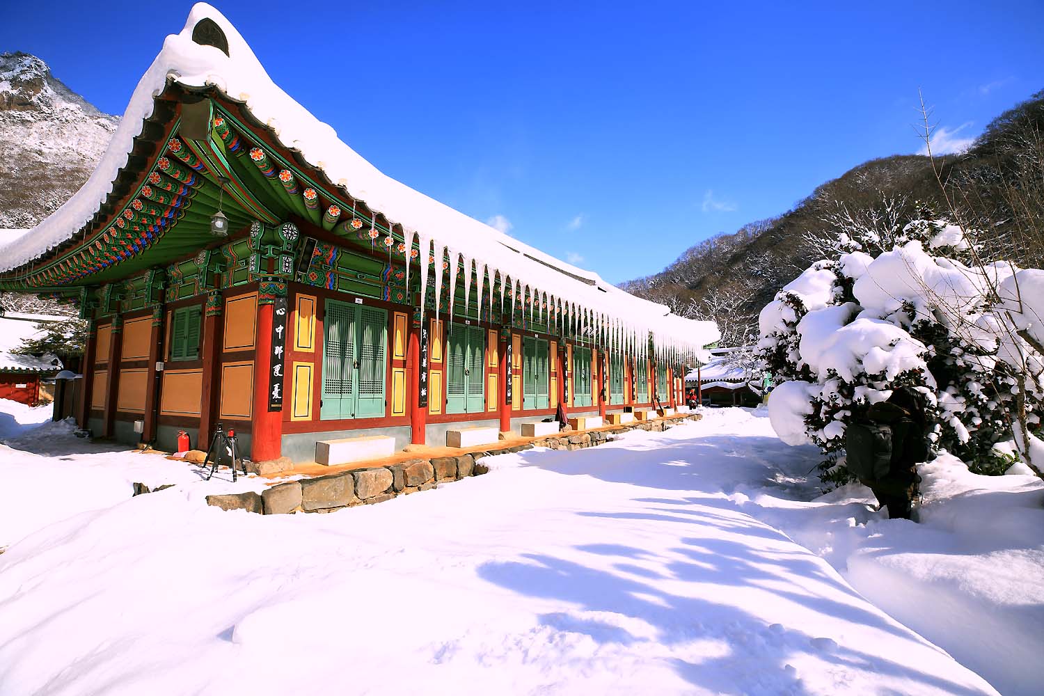 백양사 설경38.JPG