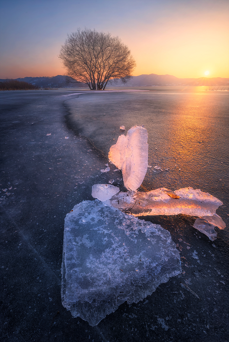 예당지8 복사.jpg