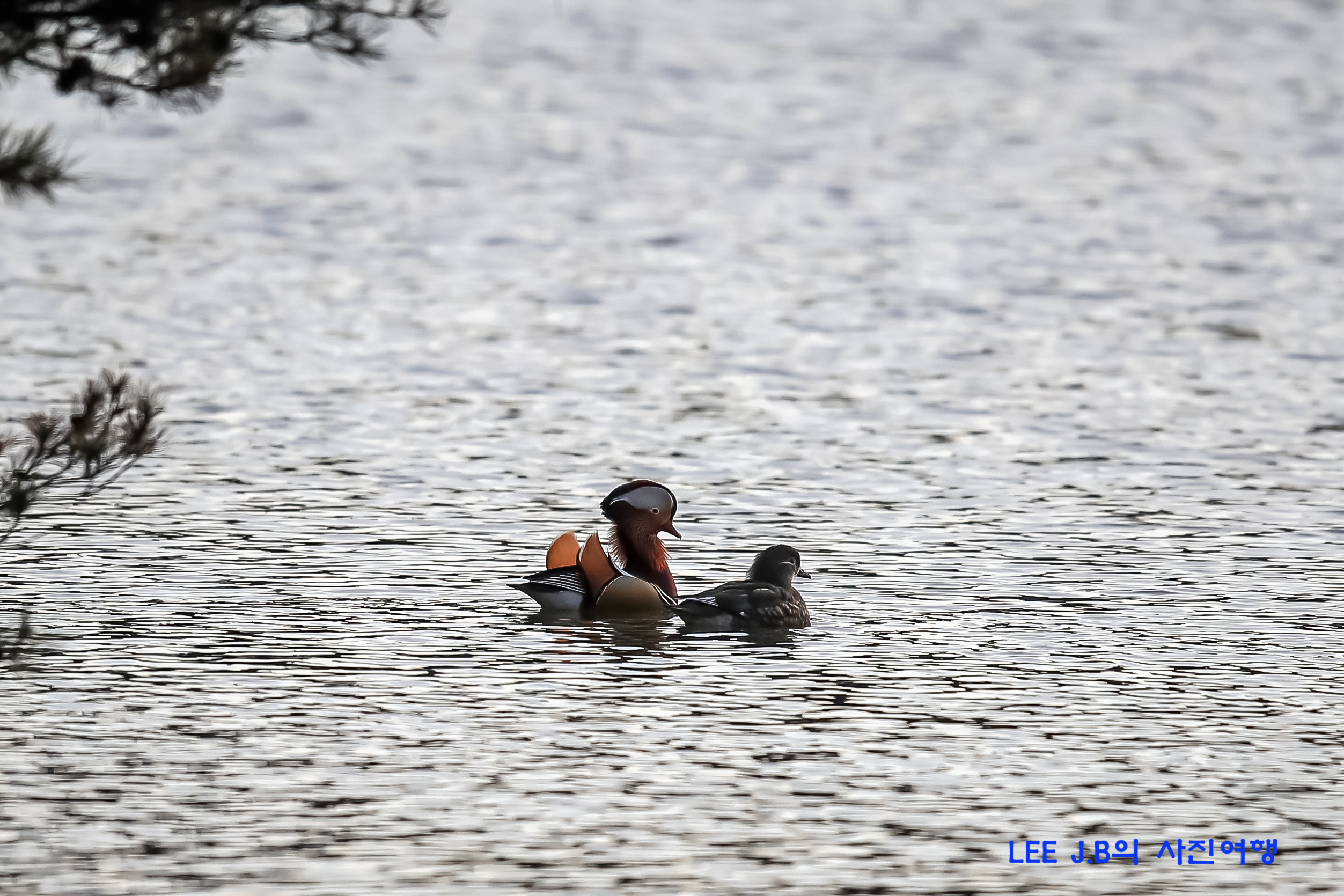 20221216-문수구장 (35).JPG