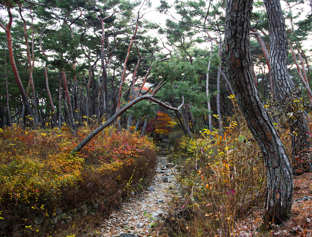 0DS_8487 04 복사.jpg