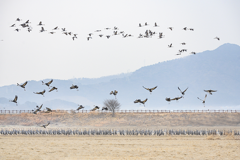 DSC_5760-향상됨ㅡ클라.jpg