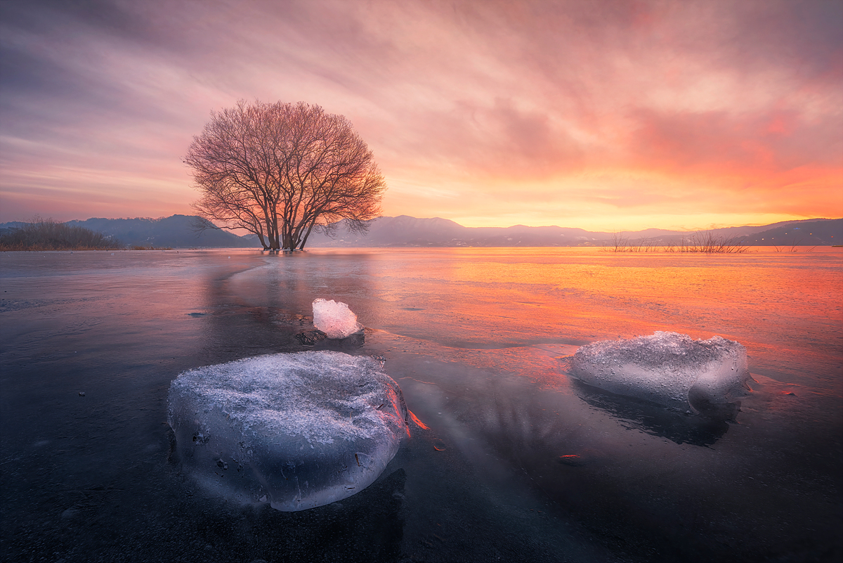 예당이 복사.jpg