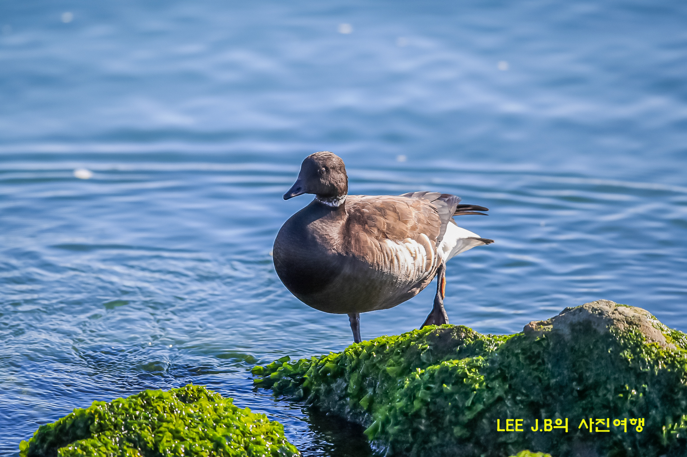 20221227-포항 대보항 (45).JPG