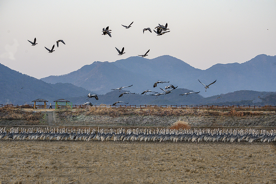 DSC_3207-향상됨ㅡ클라.jpg