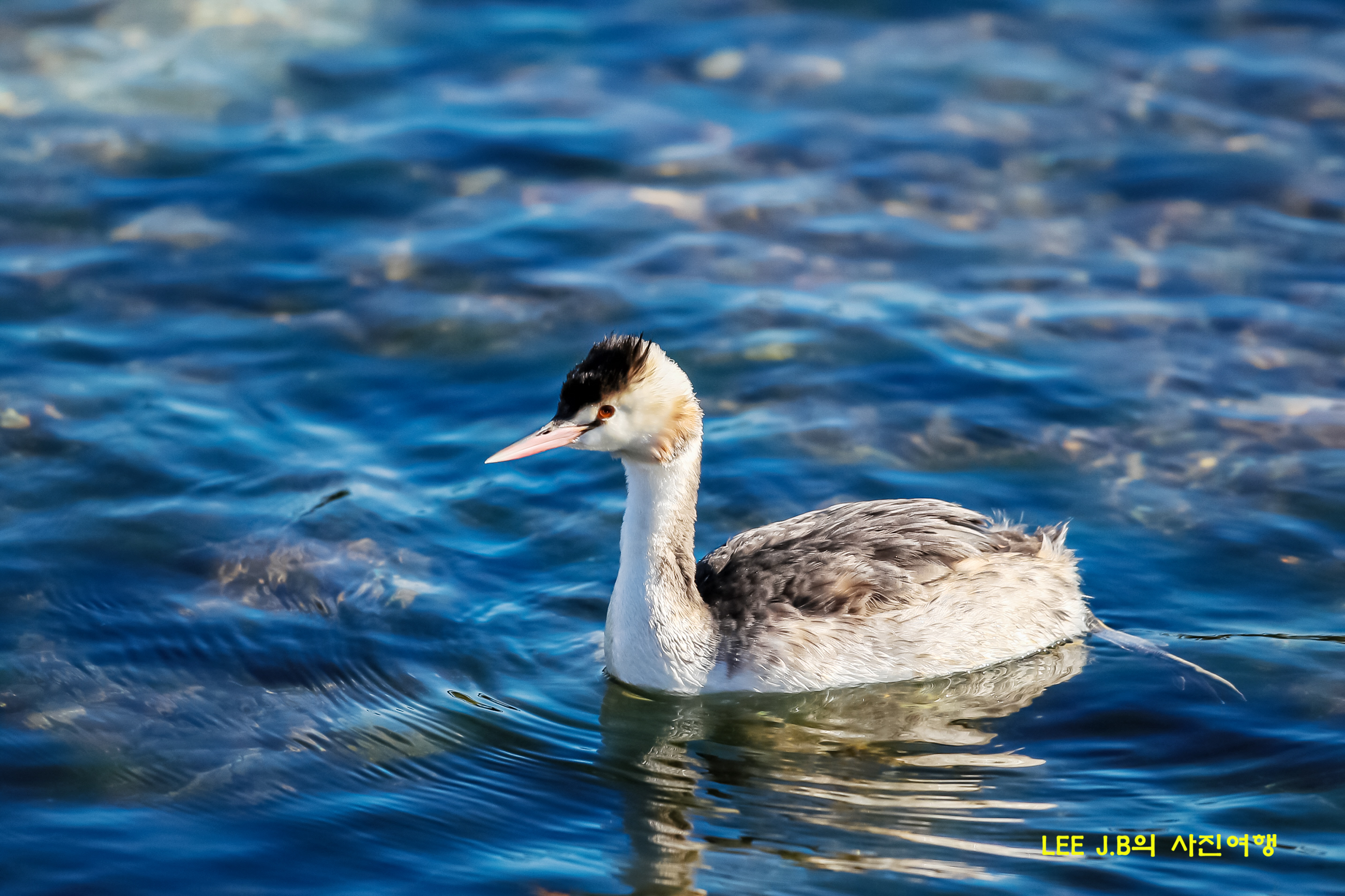 20221227-포항 대보항 (74).JPG